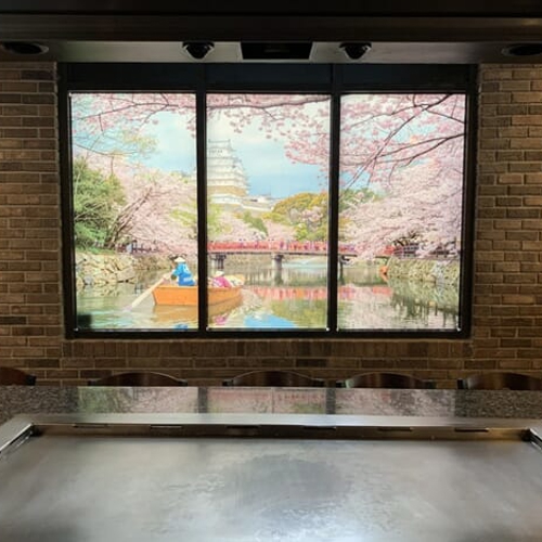 Window Graphics